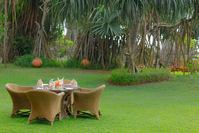 Aditya Resort - Restaurants/Cafes