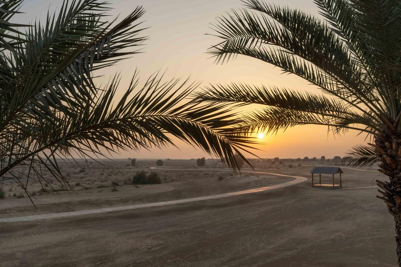 Bab al Shams Desert Resort  - Terrace Desert View Kamer